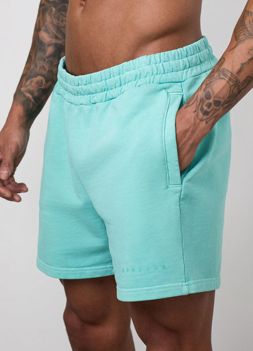 Gym King World Washed Short - Poolside Green
