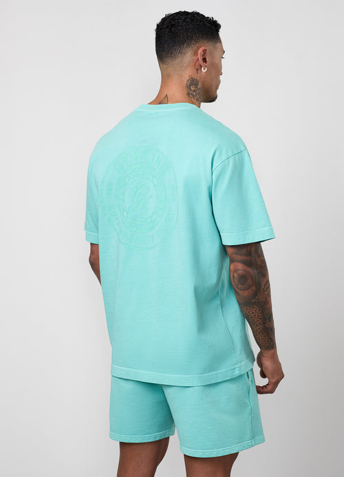 Gym King World Distressed Graphic Washed T-Shirt - Poolside Green